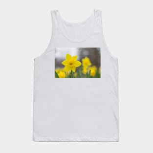 A lone daffodil in spring Tank Top